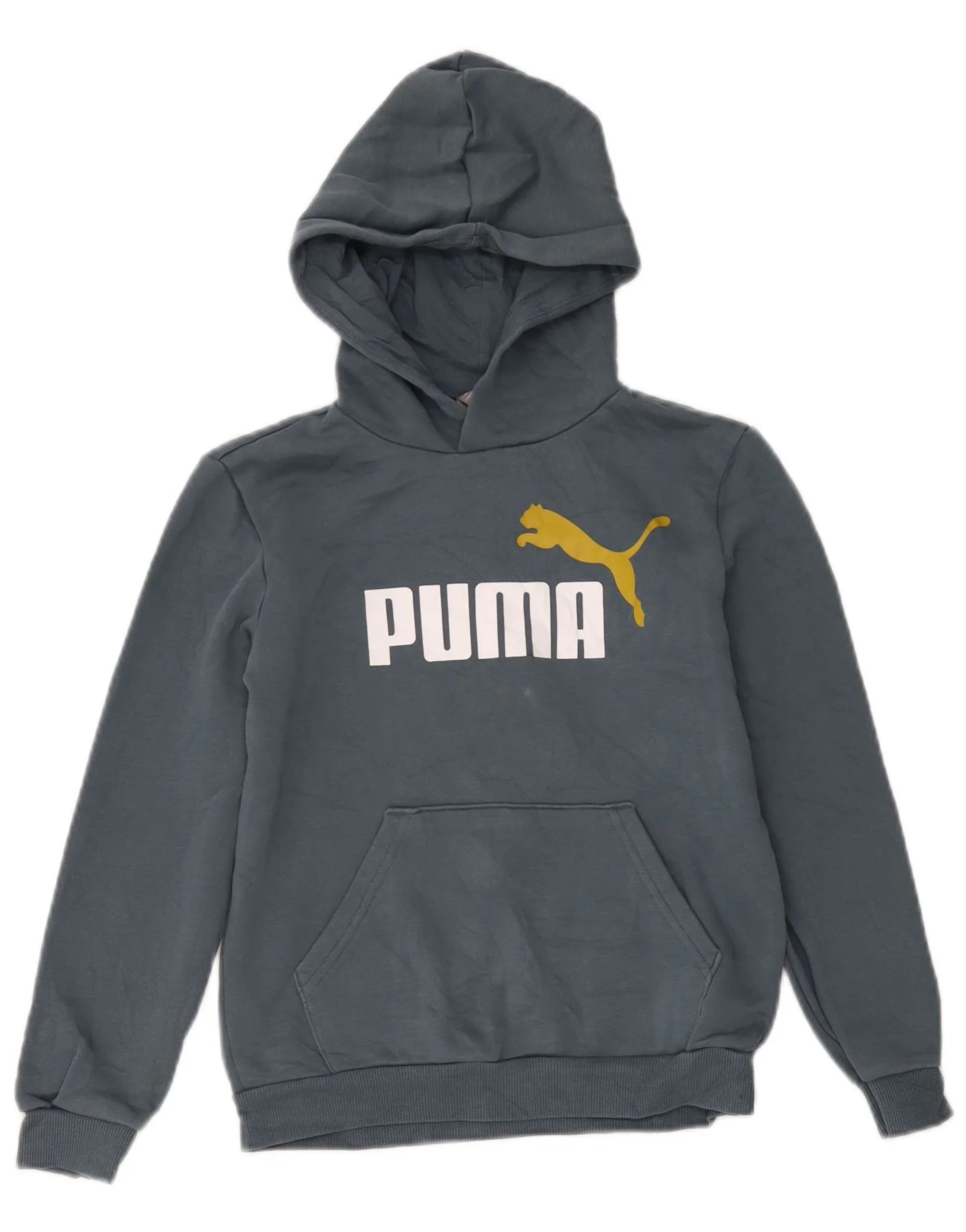 Puma Boys Graphic Hoodie Jumper 11-12 Years Grey Cotton