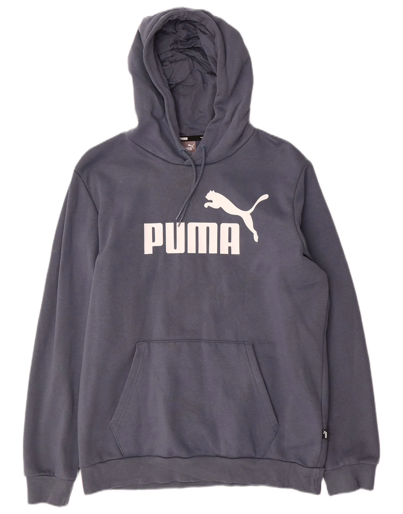 Puma Mens Graphic Hoodie Jumper Medium Blue Cotton